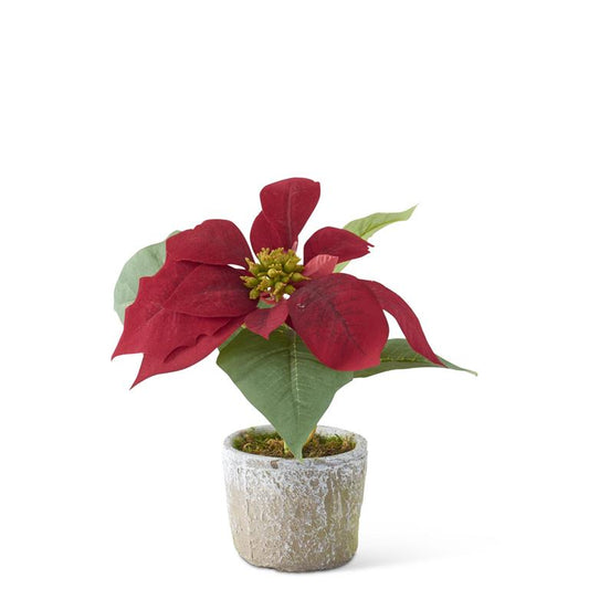 9" RED VELVET POINSETTIA WITH TEXTURED GRAY CEMENT POT