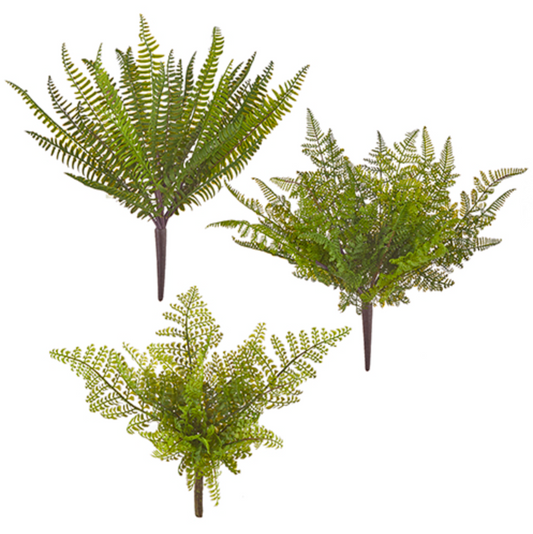 ASSORTED 15" FERN BUSH