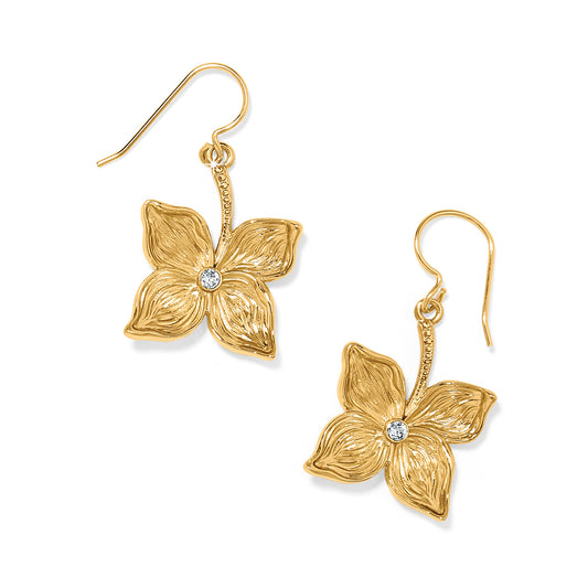 BRIGHTON EVERBLOOM FLOWER GOLD FRENCH WIRE EARRINGS